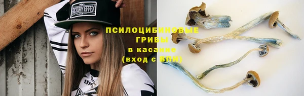 каннабис Баксан