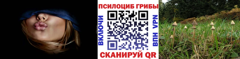 OMG ССЫЛКА  Заринск  Псилоцибиновые грибы мицелий 